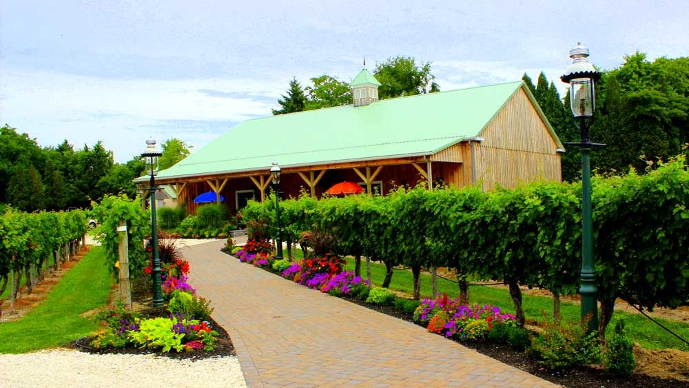 Cape May Winery Pathway