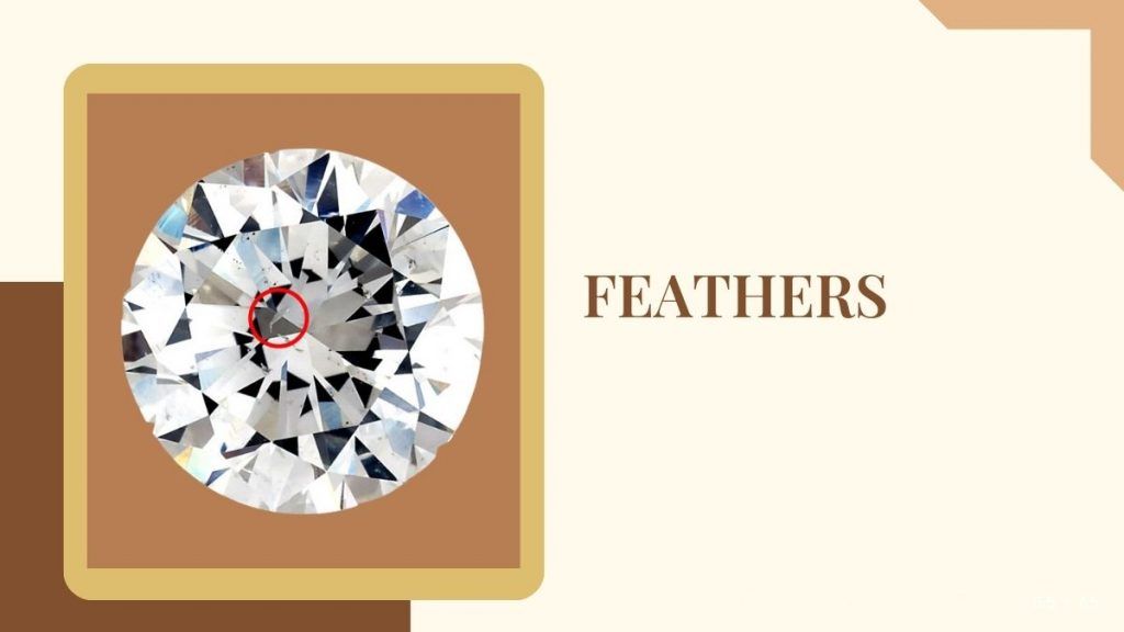 Feather Inclusion in a Diamond
