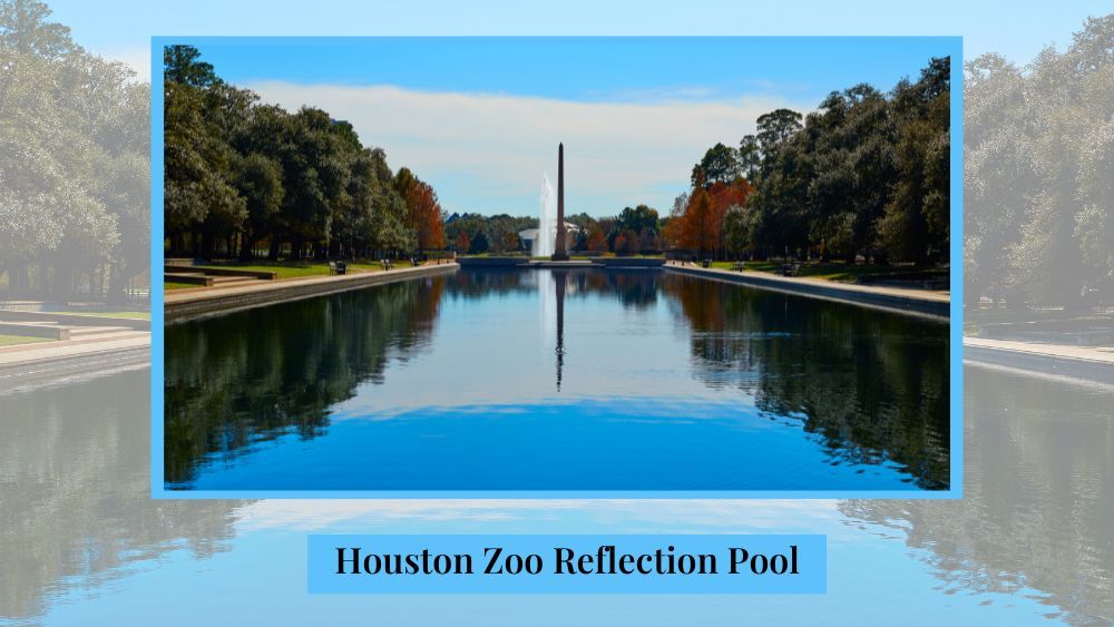 Houston Zoo Reflection Pool