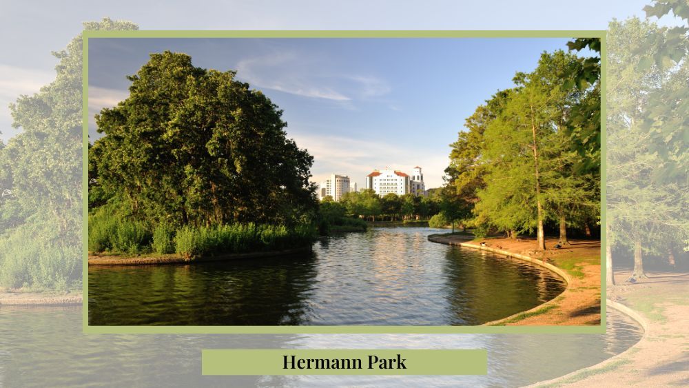 hermann park Houston