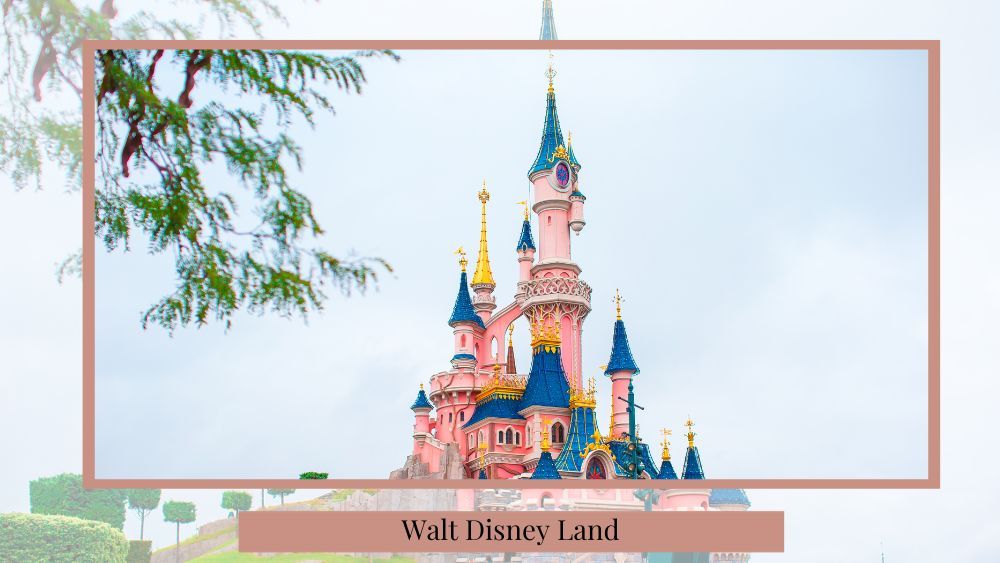 magical idea and picture of walt disney castle