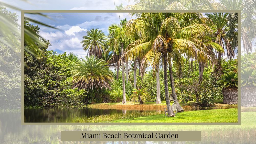 proposing at the miami beach botanical garden