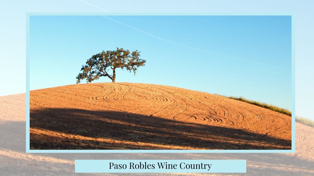 idea for proposing at paso robles wine country