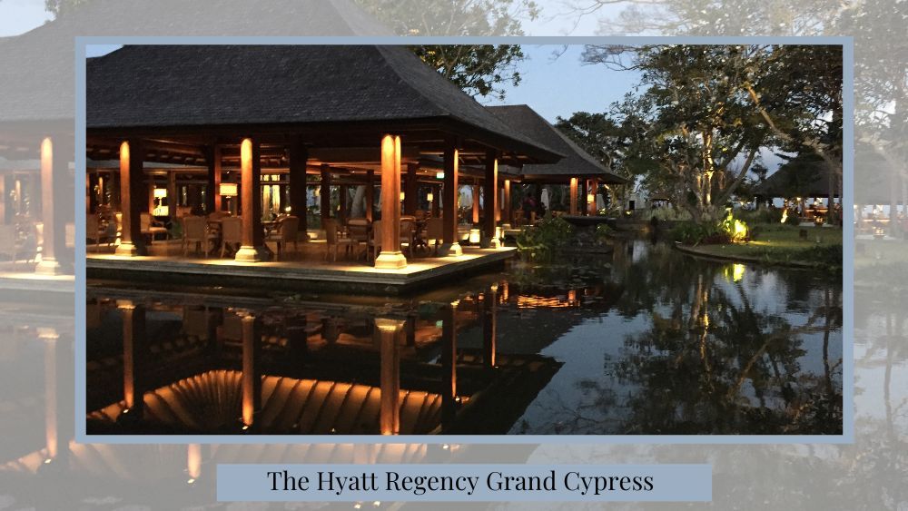 proposing at the hyatt regency grand cypress hotel 