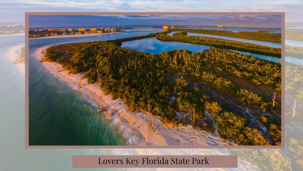 great image to propose at the lovers key florida state park 