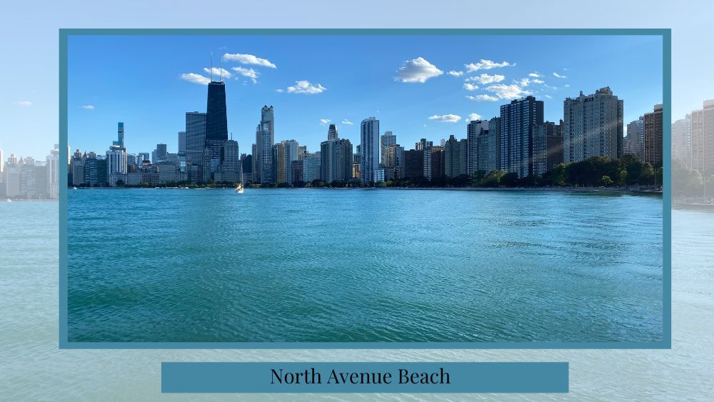 picture of north avenue beach in chicago in front of the buildings