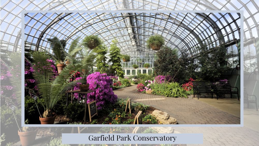 garfield park conservatory for ideas of where to propose in chicago