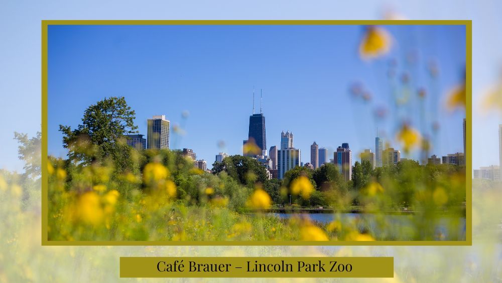 proposing at the café brauer at the lincoln park zoo in chicago