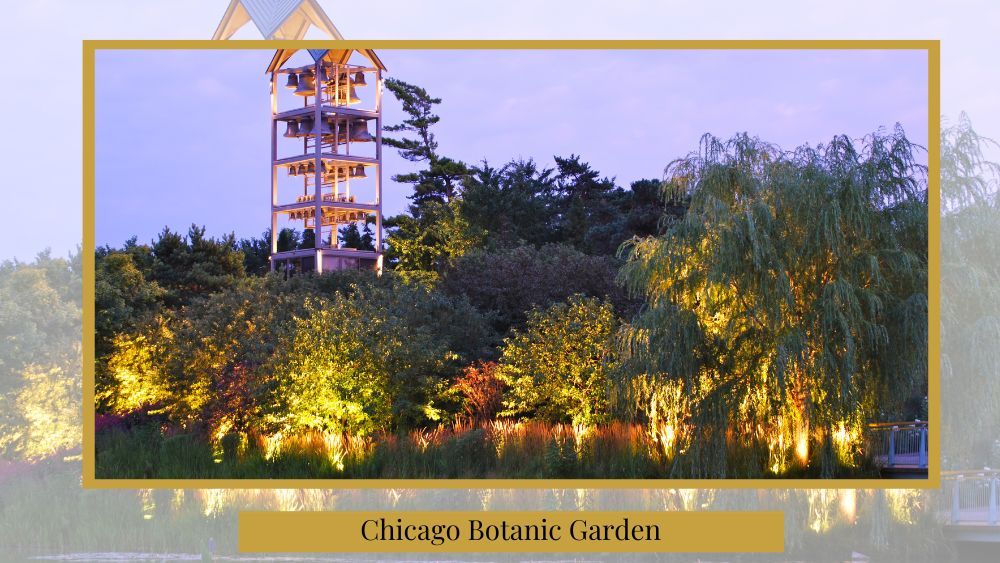 proposing ideas at the chicago botanic garden