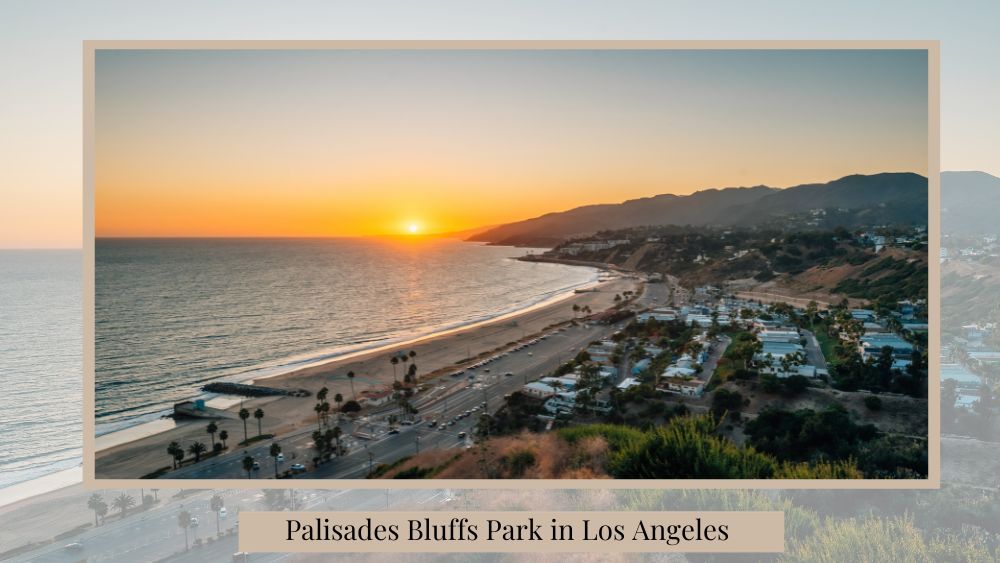 idea to propose at palisades bluffs park in los angeles