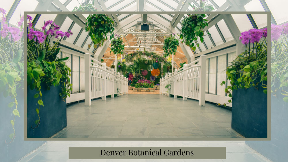 nature proposal ideas with the denver botanical gardens