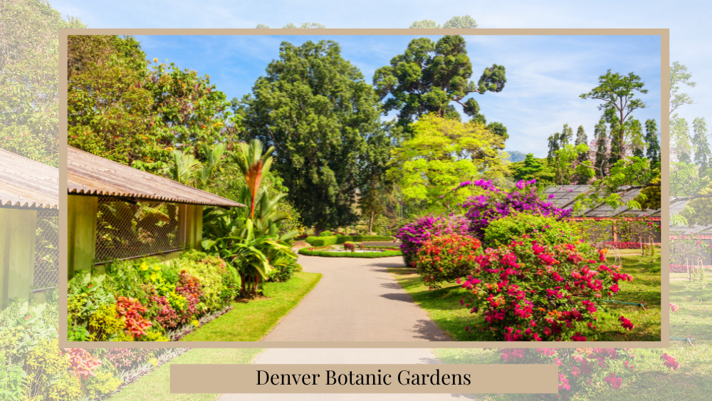 denver botanic garden picture with flowers 